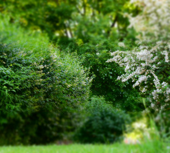 DSC_1374